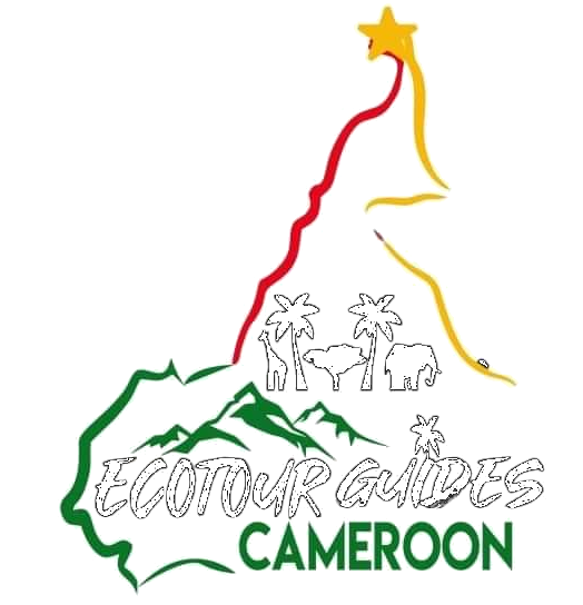 Eco Tour Guides Cameroon